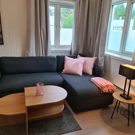 Apartment Sentrumsnaer I