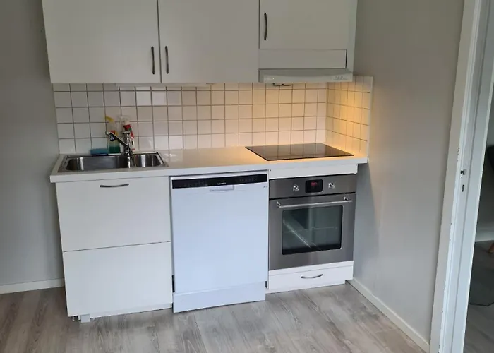 Sentrumsnaer I Apartment
